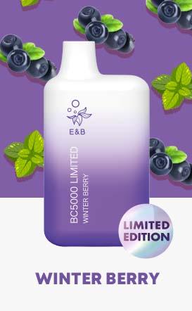 Elf Bar BC5000 - 5000 Puffs Disposable Vape with 13ml E-Liquid