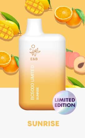 Elf Bar BC5000 - 5000 Puffs Disposable Vape with 13ml E-Liquid